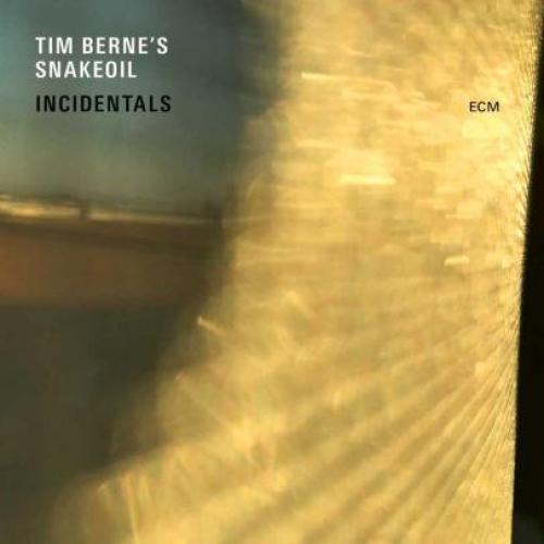 TIM BERNES SNAKEOIL / INCIDENTALS - CD