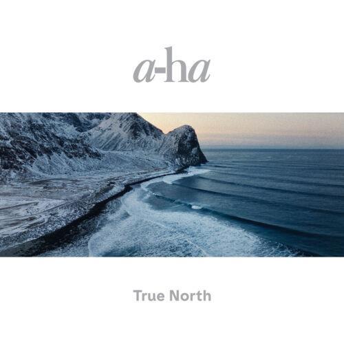 A-HA / TRUE NORTH - CD