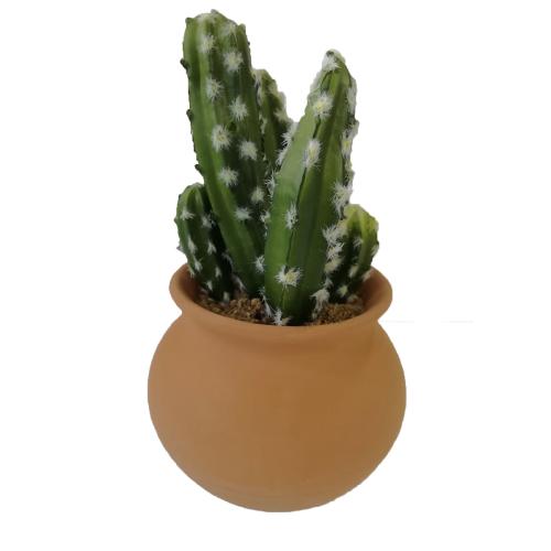 Διακοσμητικό Φυτό Σε Γλάστρα (17x8) A-S Cactus Pot B 189121
