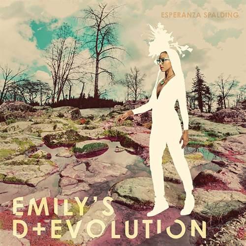 EMILY’S D + EVOLUTION