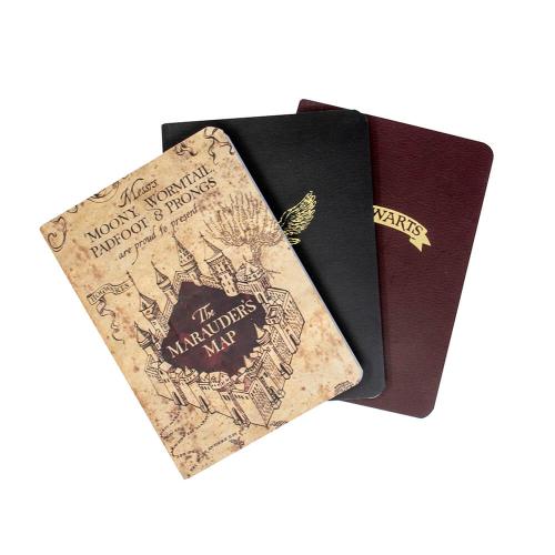 HARRY POTTER A6 NOTEBOOKS 3PK - ICONS & MAP