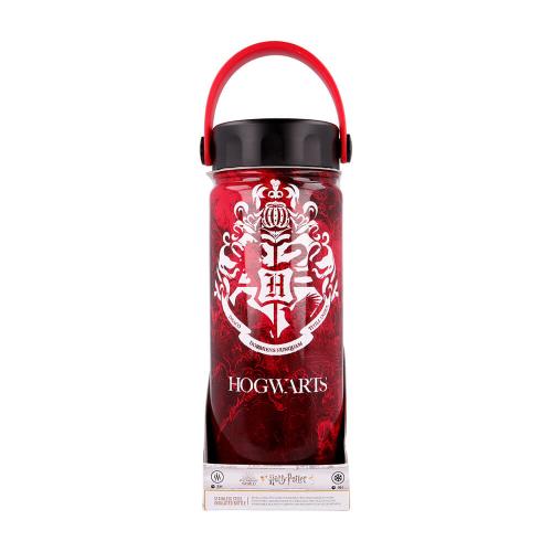 HARRY POTTER YOUNG ADULT DW STAINLESS STEEL HYDRO BOTTLE 530 ML