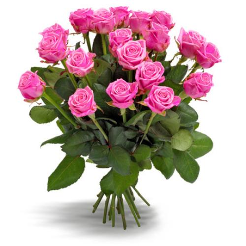 Αισθησιακή Πολυτέλεια Μπουκέτο με είκοσι φρέσκα ροζ τριαντάφυλλα
