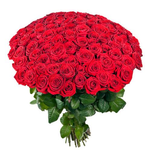 Επιβεβαίωση της αγάπης Το απόλυτο δώρο για το άλλο σας μισό! Εκατό τριαντάφυλλα