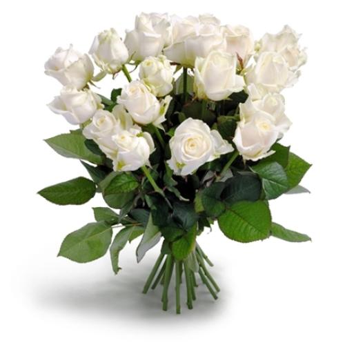 Το Φιλί του Έρωτα Το μπουκέτο από ολόφρεσκα, λευκά τριαντάφυλλα.