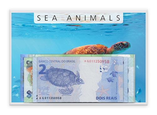 Θαλάσσια Ζώα - 5 Χαρτονομίσματα από όλον τον κόσμο!!
