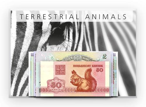 Ζώα της Ξηράς - 5 Χαρτονομίσματα από όλον τον κόσμο!!