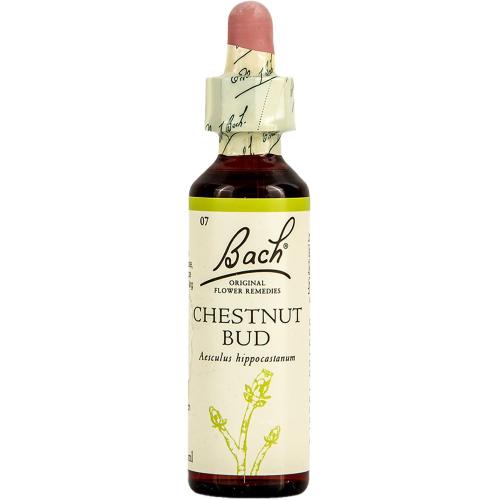 Bach Chestnut Bud Συμπλήρωμα Διατροφής Ανθοϊάματος με Εκχύλισμα Αγριοκαστανιάς για Ενίσχυση της Αποφασιστικότητας & της Αντίληψης 20ml