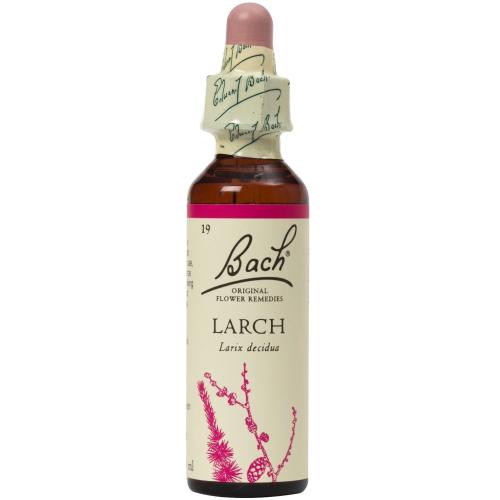 Bach Larch Συμπλήρωμα Διατροφής με Εκχύλισμα Αγριόπευκου για την Ενίσχυση της Αισιοδοξίας & του Αισθήματος Εμπιστοσύνης 20ml