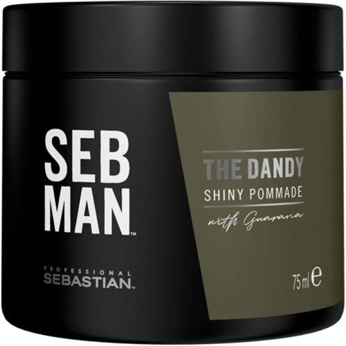Sebastian Professional The Dandy Pomade Πομάδα Μαλλιών για Ελαφρύ Κράτημα & Λάμψη 75ml