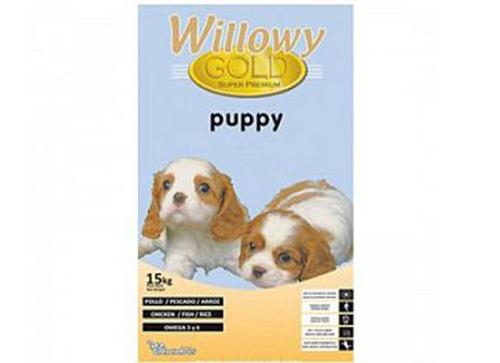 Willowy Gold puppy