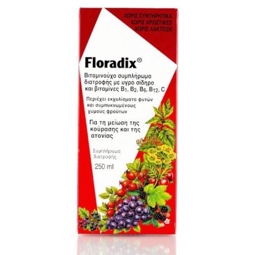 POWER HEALTH Floradix Liquid Iron Formula 250ml