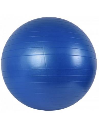Gym ball 65 cm pump