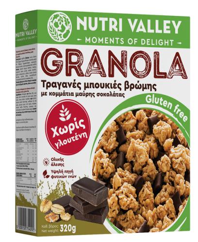 Granola Gluten Free Dark Choco Nutri Valley (320g)