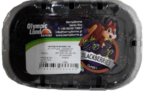 Blackberries Εισαγωγής Πεφάνης (125g)