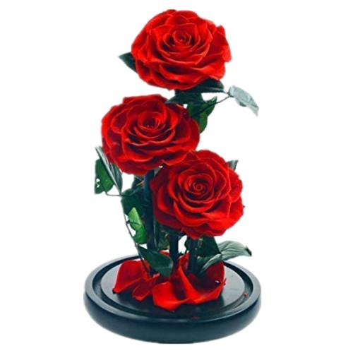 Παντοτινα 3 τριαντάφυλλα Αποχυμωμένο Αγάπης σε Γυάλα - Κόκκινο 32cm