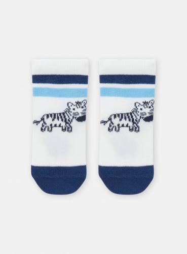 Βρεφικές Κάλτσες για Αγόρια Blue Zebra - ΛΕΥΚΟ