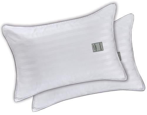 Μαξιλάρια Ύπνου Ζεύγος 50x70 Guy Laroche 3D (50x70)