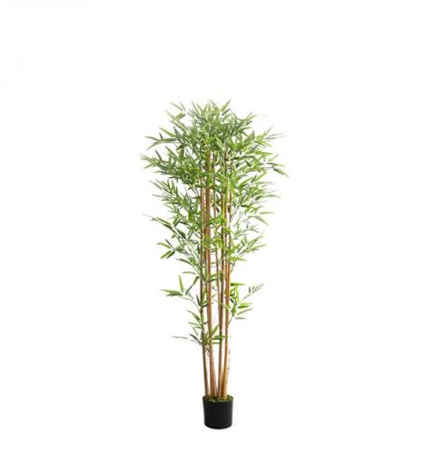 Διακοσμητικό Φυτό Bamboo Np0075_180 Ύψος 180Cm Newplan