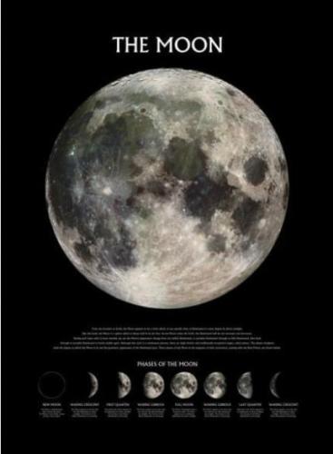 Αφίσα The Moon Maxi Phases Poster 61x91.5cm PP0432