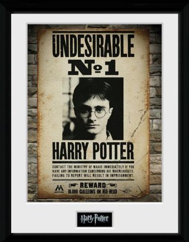 Κορνίζα Harry Potter Undesirable No.1 Mounted Framed Print 30x40 MDF PFC1385