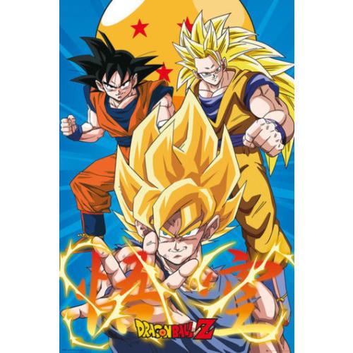 Αφίσα Dragon Ball Z 3 Gokus Evo Maxi Poster 61x91.5 #167 FP4327
