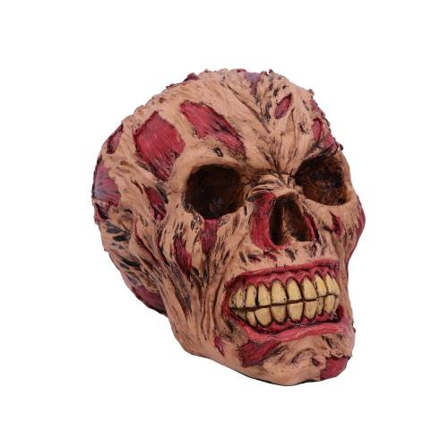 Διακοσμητικό The Hoard Skull Freddy Krueger Polyresin 17x12x13 D4964R0