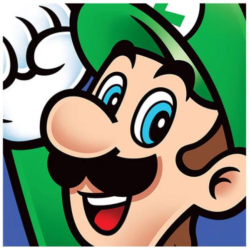 Καμβάς Super Mario Luigi Canvas Print 40x40 DC95442