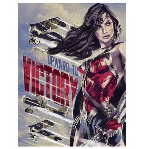 Καμβάς Wonder Woman Upward To Victory Canvas Print 60x80 DC100144
