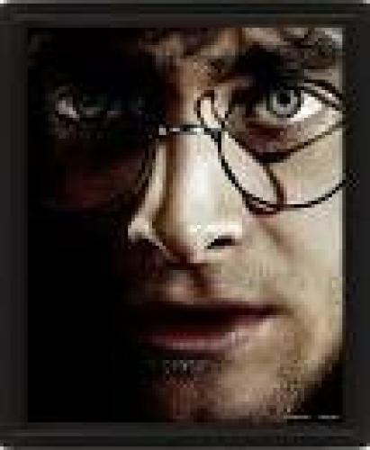 Τρισδιάστατο Κάδρο Harry Potter Harry Vs Voldemort Lenticular Framed Poster 20x25 PVC EPPL71335