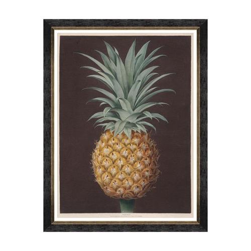 Κάδρο Pineapples Of Antigua - The Havannah Pine By Brookshaw FA13200 60X80 MindTheGap