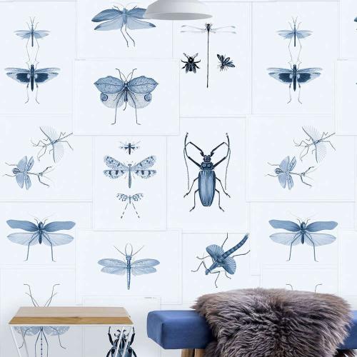 Ταπετσαρία Entomology Blue WP20235 Blue-Taupe MindTheGap