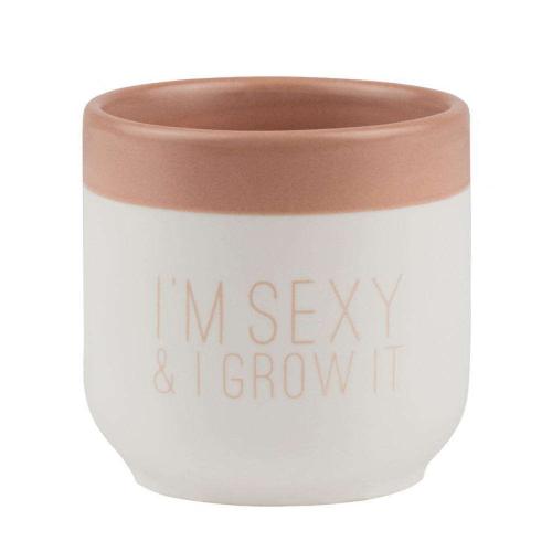 Κασπώ Πήλινο I'm Sexy & I Grow It RD0016842 6,5x6,5cm White-Pink Raeder