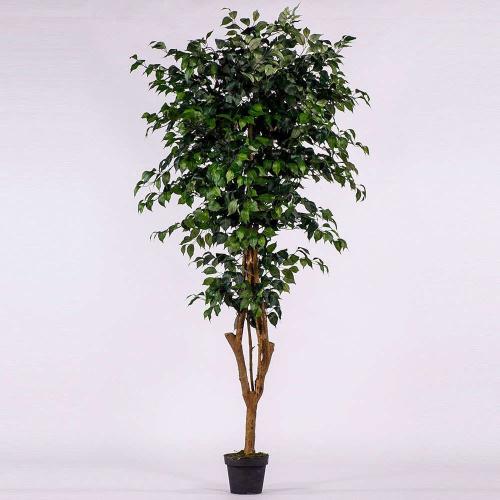 Τεχνητό Δέντρο Φίκος 0240-6 195cm Green Supergreens