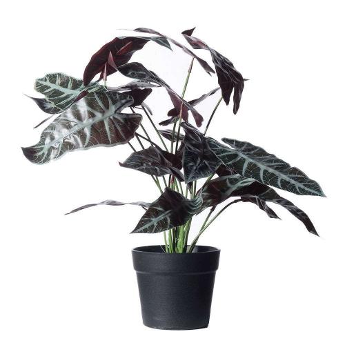 Τεχνητό Φυτό Αλοκάσια Amazonica Polly 9360-6 45x37x40cm Multi Supergreens