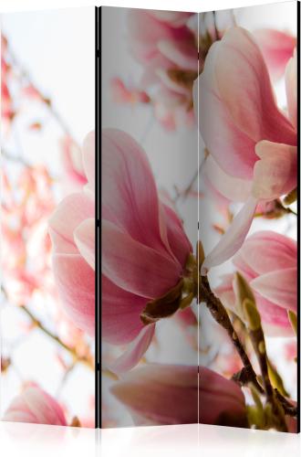 Διαχωριστικό με 3 τμήματα - Pink magnolia [Room Dividers]