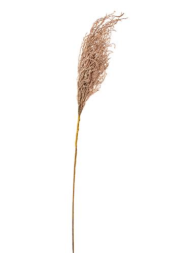 DOMUS HOMUS τεχνητό φυτό σαλικόρνια με κλαδί 125 cm - 20-99-588