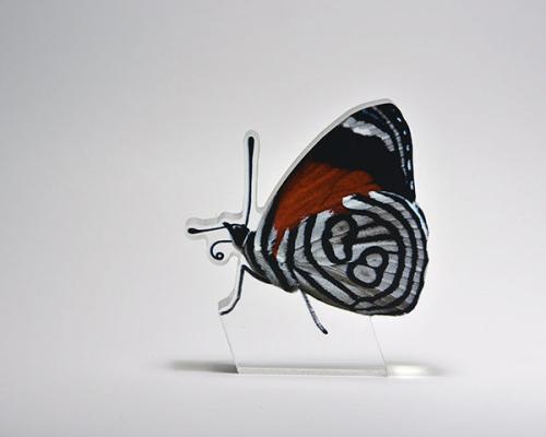 Διακοσμητική Πεταλούδα Butterfly 88 - 6.5x12x2εκ