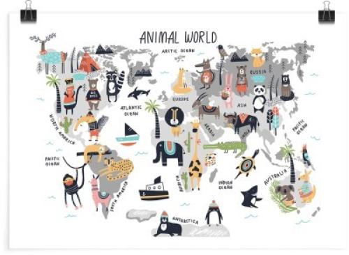 Χάρτης των ζώων, Παιδικά, Πόστερ, 30 x 20 εκ.