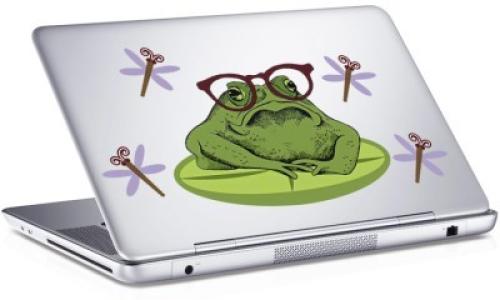 Βάτραχος, Sticker, Αυτοκόλλητα Laptop, 25 x 17 εκ. [8,9 Inches]