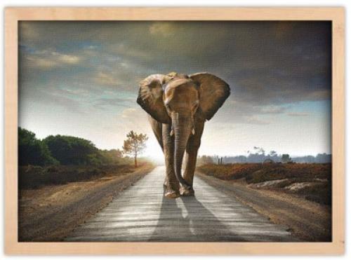 Ελέφαντας που περπατάει, Ζώα, Πίνακες σε καμβά, 30 x 20 εκ.