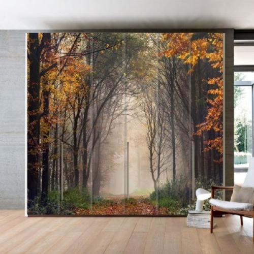 Mysterious Forest, Φύση, Αυτοκόλλητα ντουλάπας, 100 x 63 εκ.