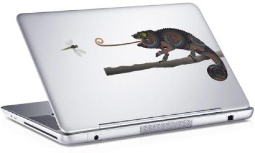 Iguana, Sticker, Αυτοκόλλητα Laptop, 25 x 17 εκ. [8,9 Inches]
