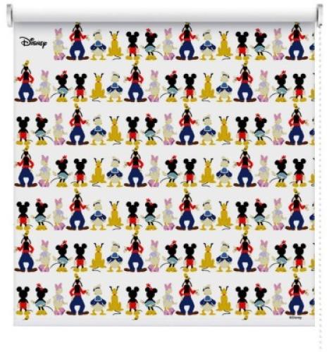 Όλη η παρέα του Mickey & Minnie Mouse!, Παιδικά, Ρολοκουρτίνες, 100 x 100 εκ.