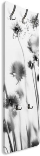Ασπρόμαυρες πικραλίδες, Φύση, Κρεμάστρες & Καλόγεροι, 45 x 138 εκ.