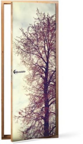 Κλαδιά Δέντρου, Φύση, Αυτοκόλλητα πόρτας, 60 x 170 εκ.