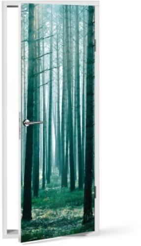 Κορμοί Δέντρων, Φύση, Αυτοκόλλητα πόρτας, 60 x 170 εκ.