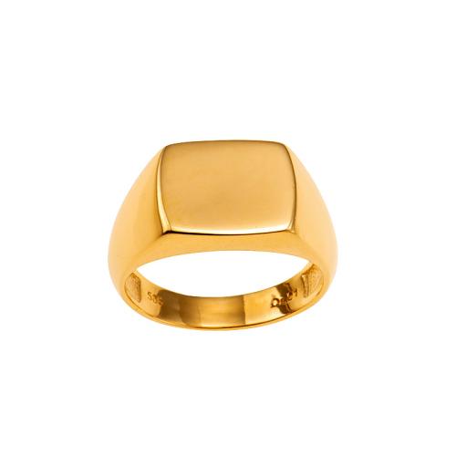 Χρυσό Δαχτυλίδι Σεβαλιέ KD00084 - No 49