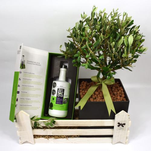 Premium Olive Branch Giftbasket