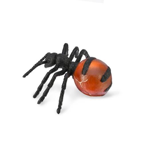 Μυρμήγκι Του Μελιού (PR-88990)